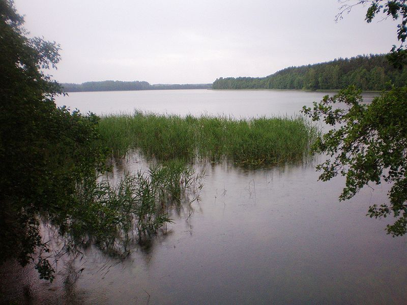 File:SakarvaiLake001.JPG