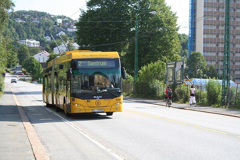 File:Trolleybus Gaia.JPG