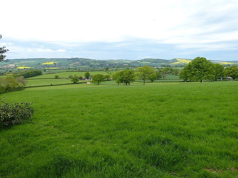 File:ViewFromWynettCoppice.jpg