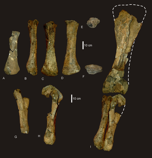 File:Wintonotitan arm.png