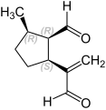 (1R,2R,5S)-Stereoisomer (D')