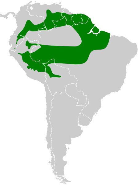 File:Anabacerthia ruficaudata map.svg