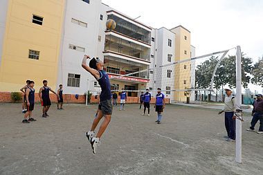 Volleyball