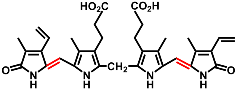 File:Bilirubin ZZ.png