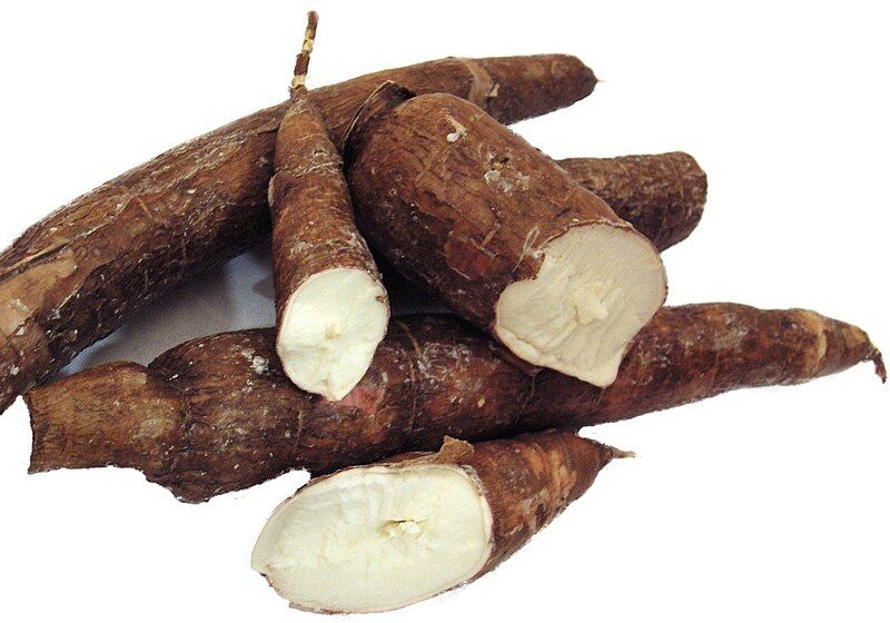 File:Cassava (2).jpg