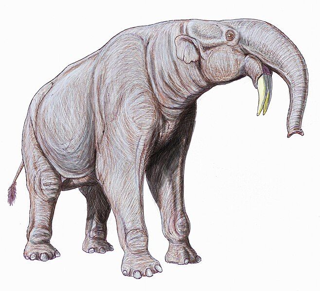 File:Deinotherium12.jpg