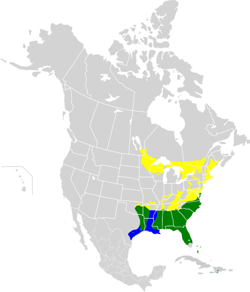 File:Dendroica pinus map.svg