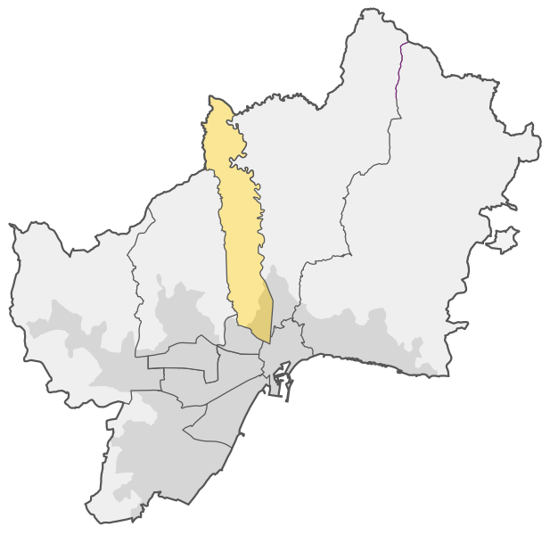 File:Distrito Palma-Palmilla.svg