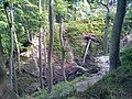 Djævlekløften (Devil's Gap), probably the deepest gully in the forests.