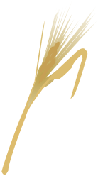 File:Espiga de Oro.svg