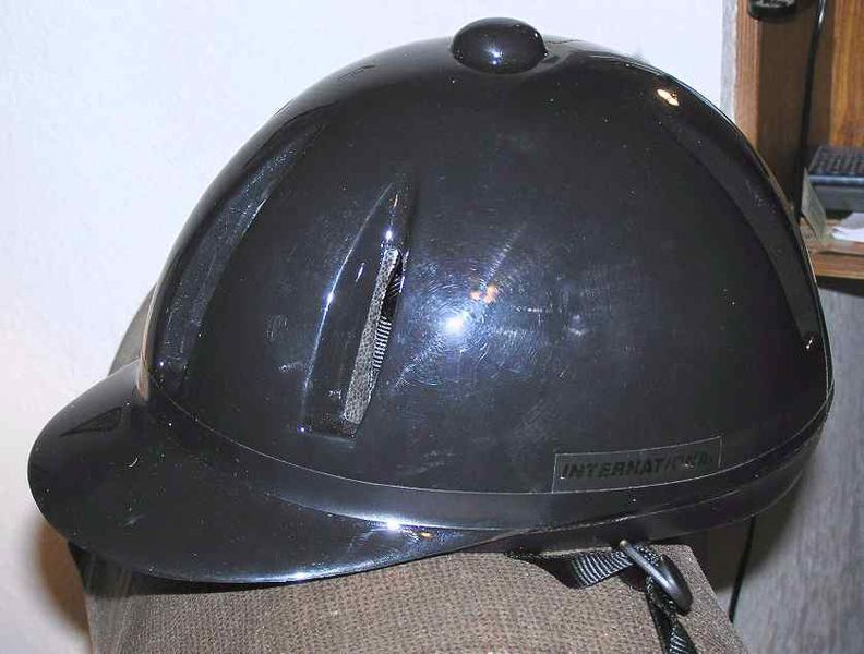 File:HorseHelmet1.jpg