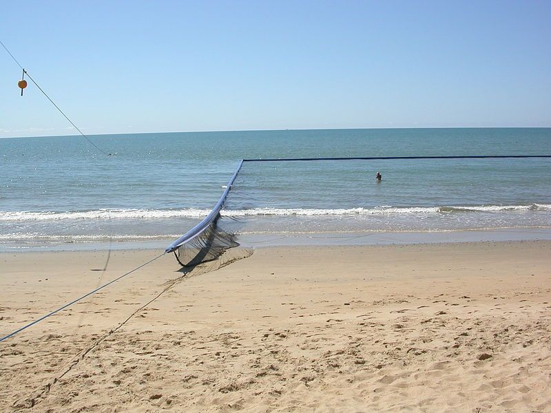 File:JellyfishNetAustralia.JPG