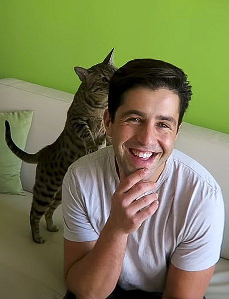 File:Josh Peck.jpg