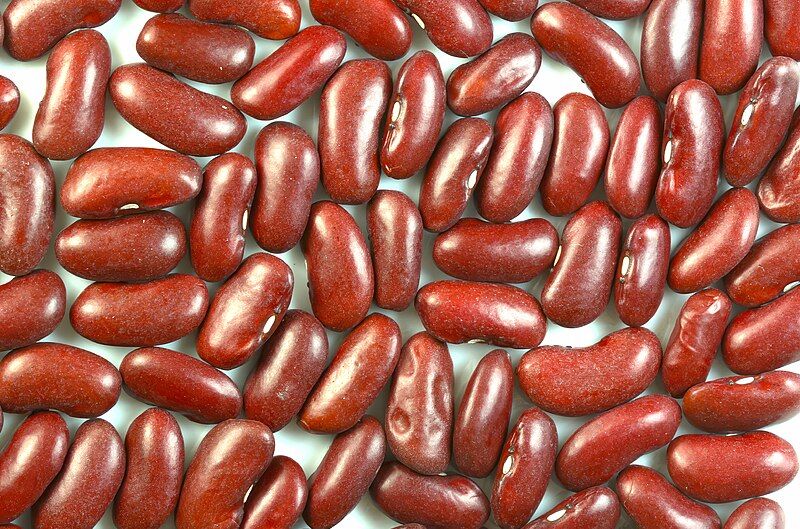 File:Kidney beans.jpg