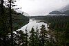 Kitlope Lake, shrouded in mist and framed by the boughs of western hemlock trees