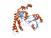 2ohf: Crystal structure of human OLA1 in complex with AMPPCP