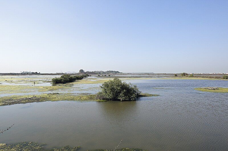 File:Panje Wetland.jpg