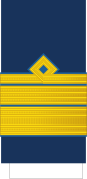 Sleeve insignia of the rank