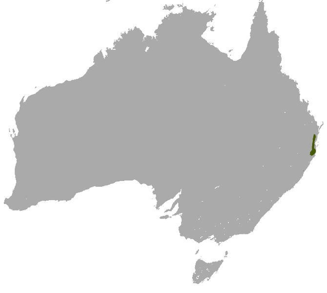 File:Subtropical Antechinus area.png