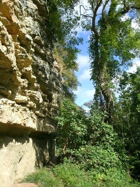 File:Undercliff steephill 2012.jpg