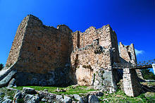 Castle