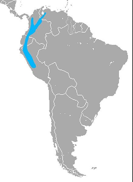 File:Andean tapeti Range.jpg