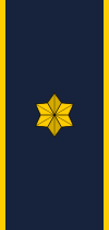 File:Denmark-Firefighter-Viceberedskabsmester.svg