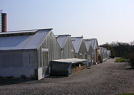 Greenhouses May 2006