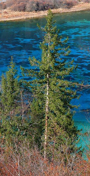 File:Jiuzhaigou4.jpg