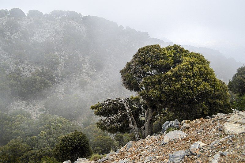 File:Katharo plateau 12.jpg