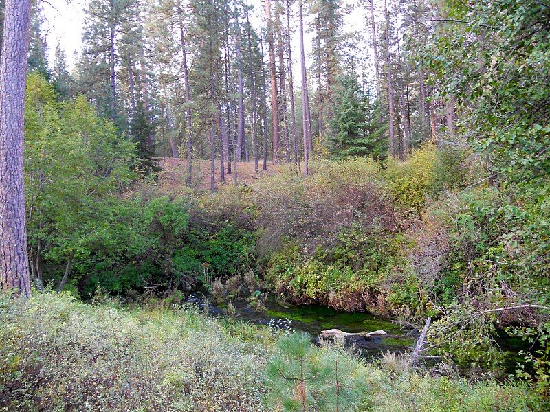 File:Metolius River source.JPG