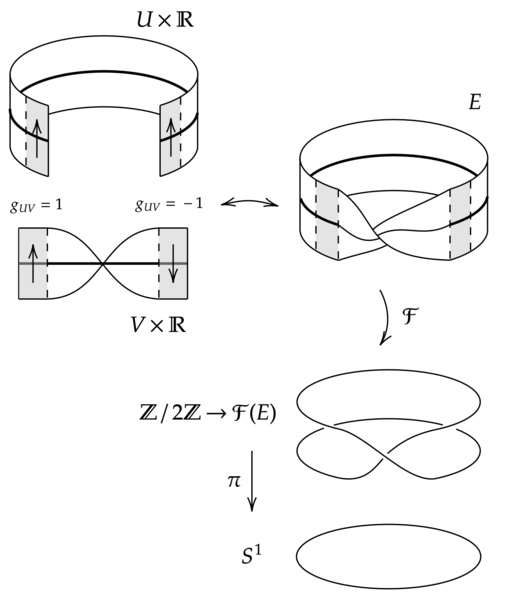 File:Mobius frame bundle.png