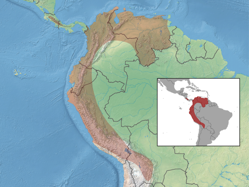 File:Myotis oxyotus distribution.png