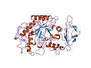 1hny: The structure of human pancreatic alpha-amylase at 1.8 angstroms resolution and comparisons with related enzymes