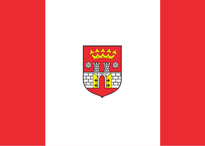 File:POL Będzin flag.svg