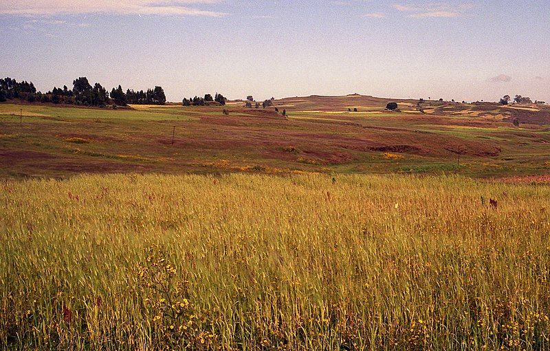 File:Sululta Plains (8602307067).jpg