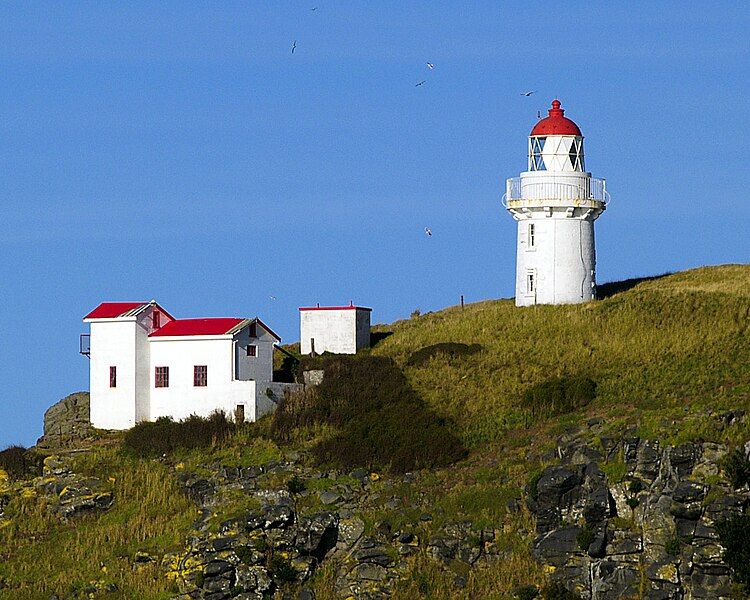 File:Taiaroa Head Lighthouse.jpg