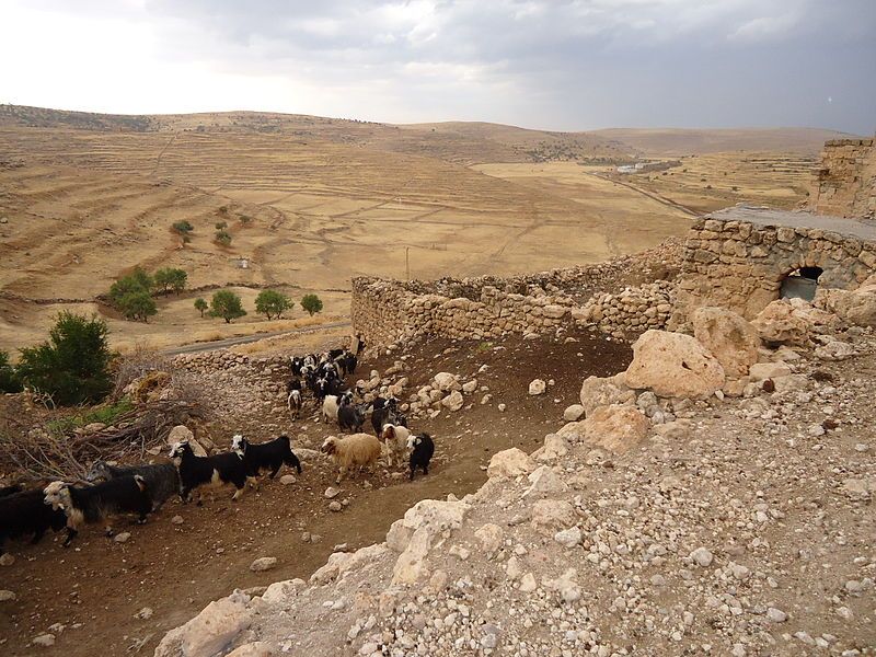 File:TurAbdin2.JPG