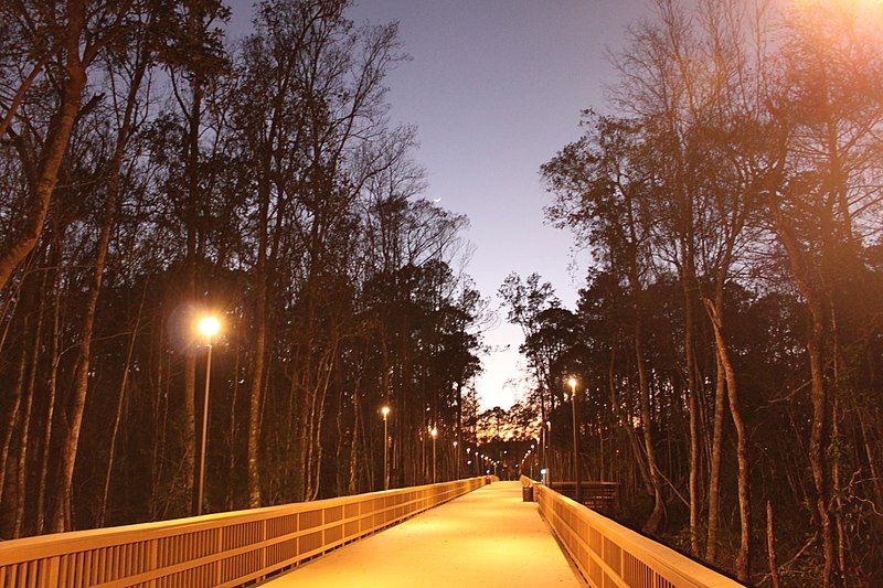 File:UNF Fountains walkway.JPG