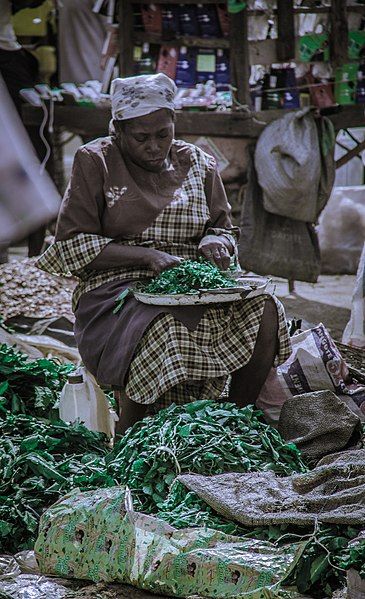 File:Woman chopping ugwu.jpg