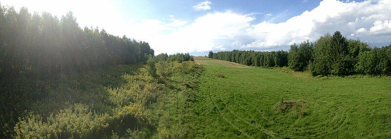 File:Wysoka Strzyżowska scenery.jpg