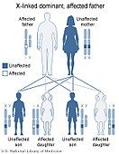 X linked dominant/father