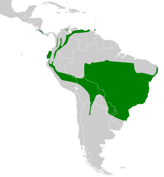 File:Xenops rutilans map.svg