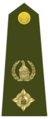 Shoulder rank, Lieutenant Colonel (Zimbabwe National Army)