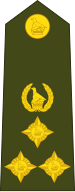 File:Zimbabwe-Army-OF-6.svg