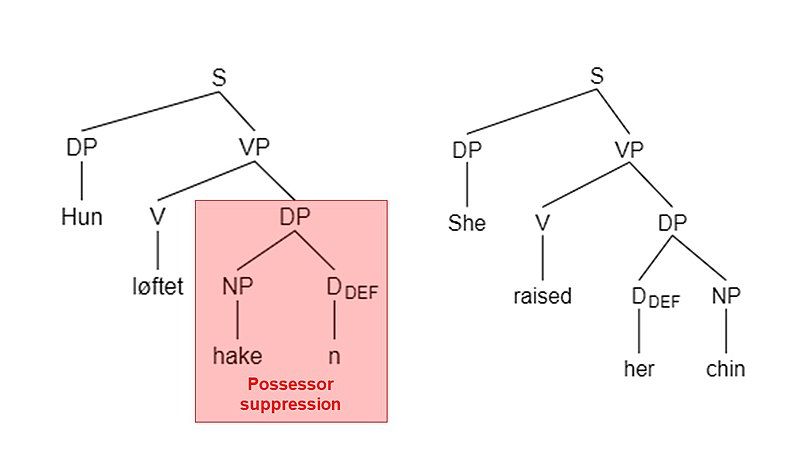 File:27a and b.jpg