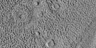 Group of ring-mold craters, as seen by HiRISE under HiWish program