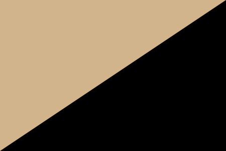 File:Anarcho-Frontierism flag.svg