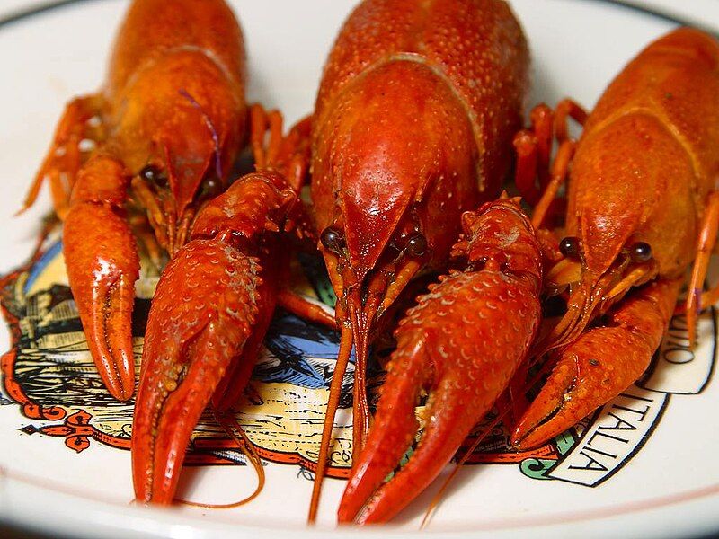 File:BoiledCrawdads.jpeg