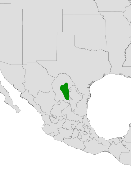 File:Echinocereus longisetus range.svg